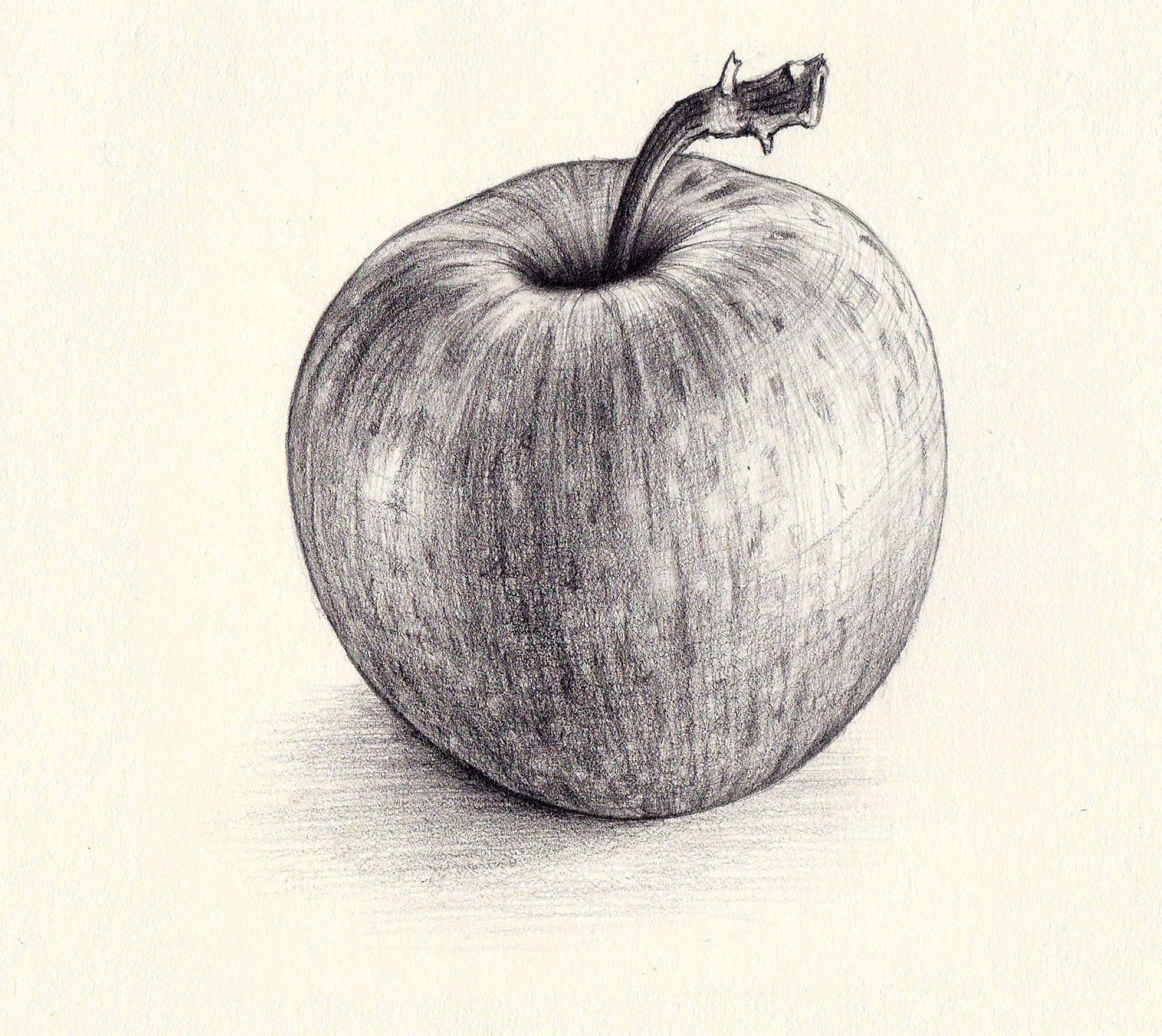 Яблоня карандашом. Яблоко рисунок карандашом. Яблоко натюрморт карандашом. Набросок яблока карандашом. Яблоко с тенью рисунок.